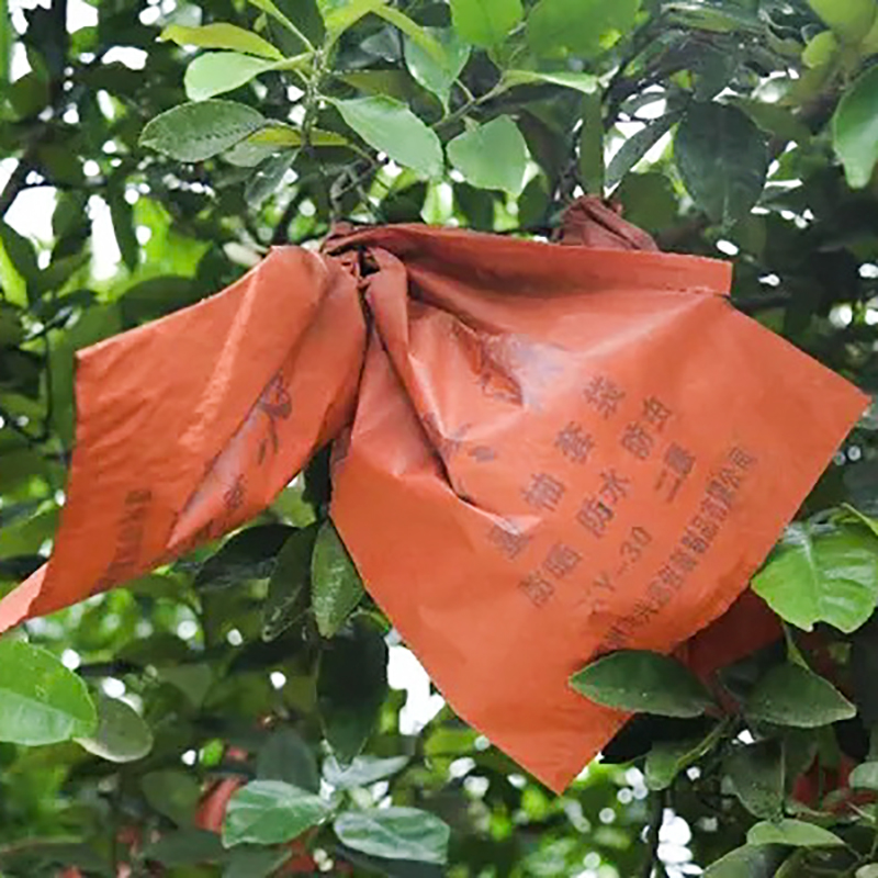 Bolsa de Proteção Pomelo